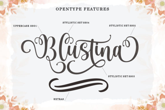 Blustina Script Font - Preview 6