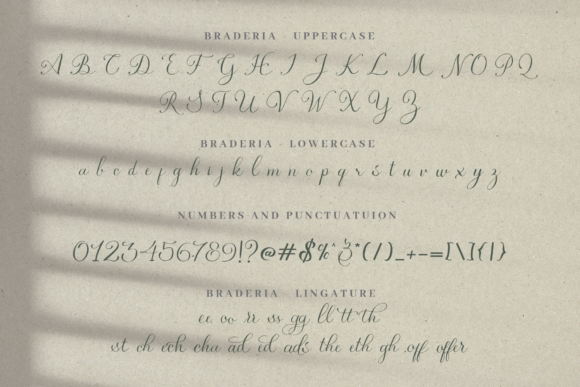 Braderia Script Font - Preview 5