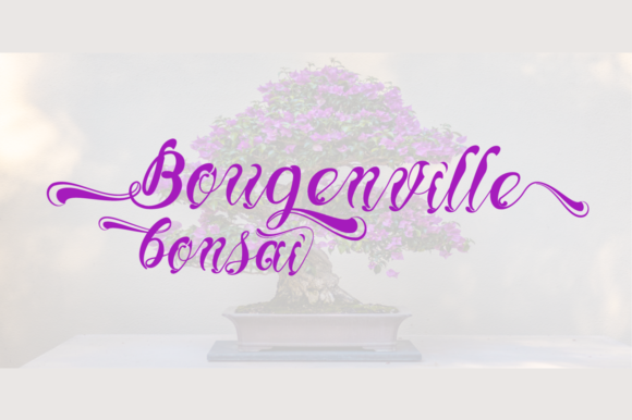 Brianna Font - Preview 5
