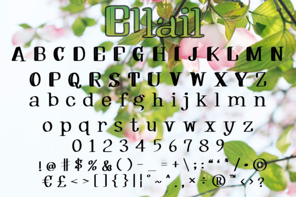 Ellail Font - Preview 3