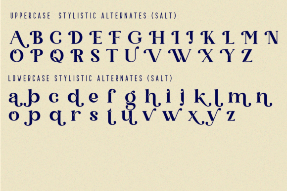 Qanect Elegant Font PNG with transparent background - Preview 4