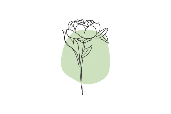 Rose Flower One Line Drawing Graphic by Aradevi  Creative Fabrica