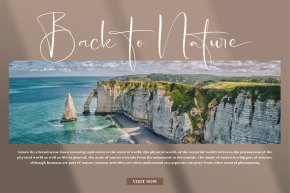 Andalusia Signature Font - Preview 4