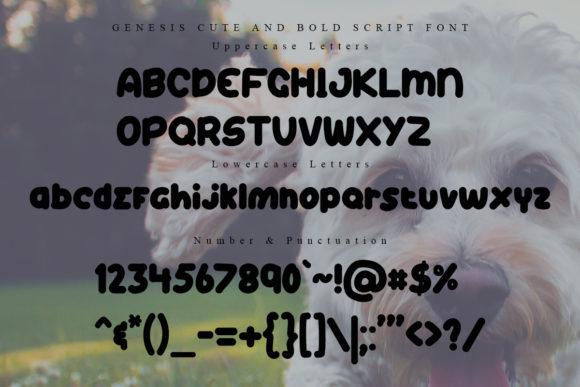 Genesis Font - Preview 5