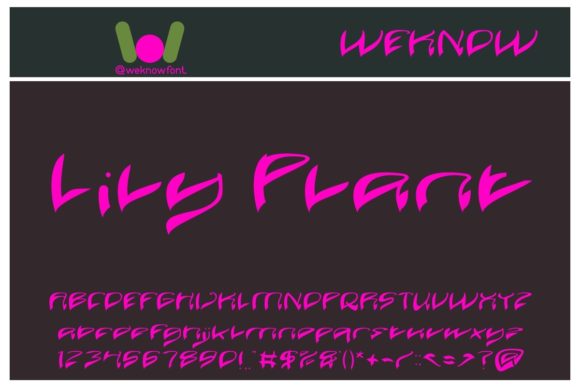 Java Island Font PNG with transparent background - Preview 1