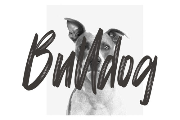 Mattolla Font PNG with transparent background - Preview 1