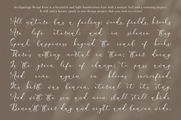Archipelago Font - Preview 3
