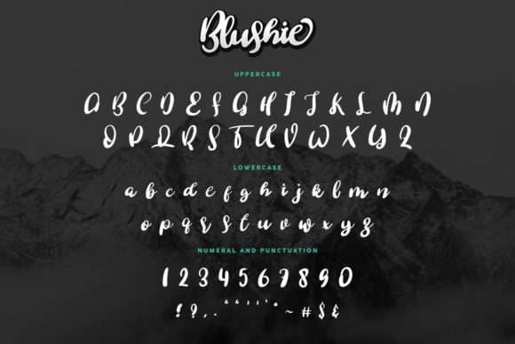 Blushie Font - Preview 3