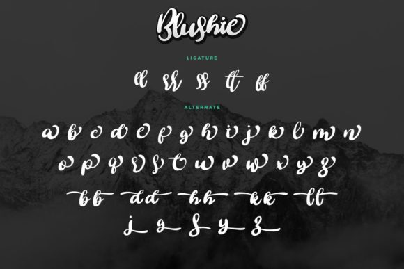 Blushie Font - Preview 5