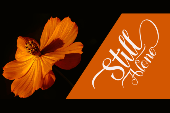 Kamaniya Font PNG with transparent background - Preview 3