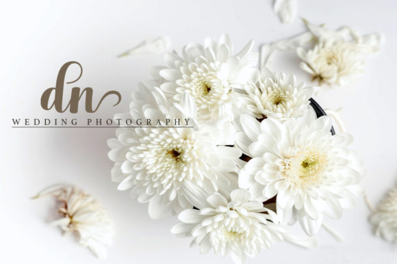 Arlington Script Font - Preview 5
