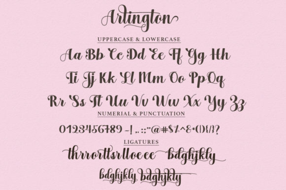 Arlington Script Font - Preview 6