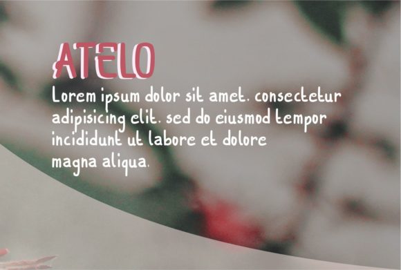 Atelo Font - Preview 2