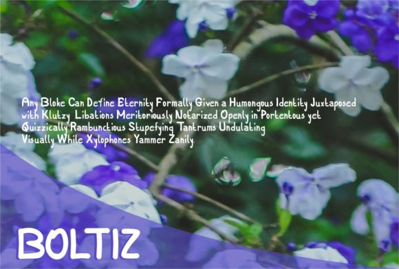 Boltiz Font - Preview 1