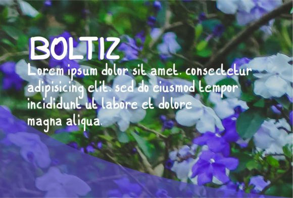 Boltiz Font - Preview 2