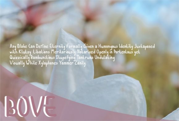 Bove Font - Preview 1