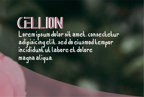 Cellion Font - Preview 2