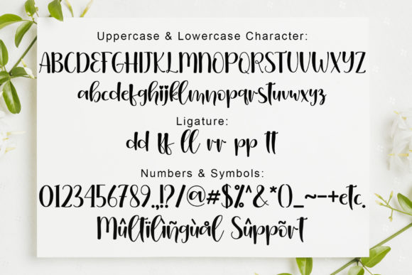 Christania Font PNG with transparent background - Preview 5