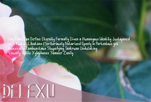 Delexu Font PNG with transparent background - Preview 1