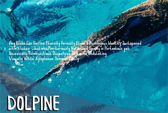 Dolpine Font - Preview 1