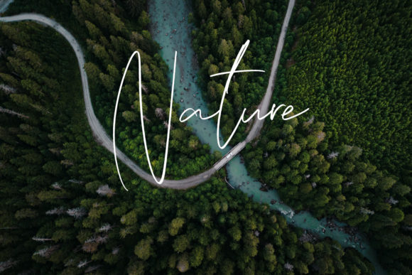Frank Signature Font - Preview 1