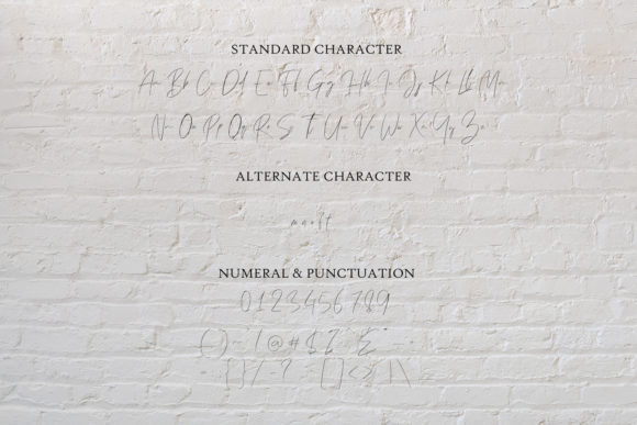 Frank Signature Font - Preview 3