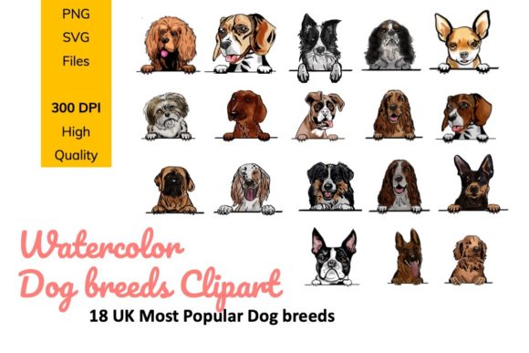 Dog Breeds Watercolor Frontview Clipart