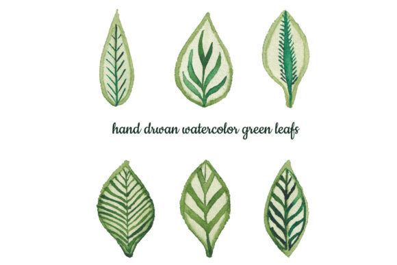 Watercolor Green Leaf Set Graphic Decorative Elements By Blueprint