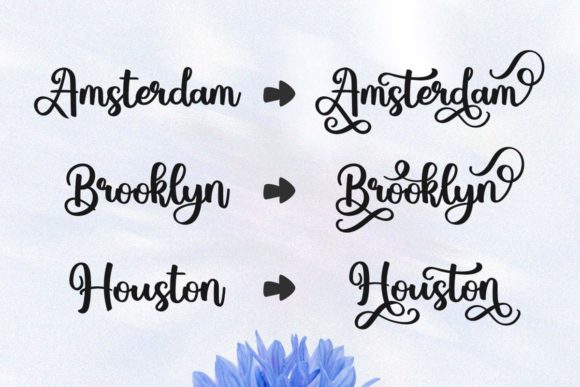 Blueberry Script Font - Preview 3