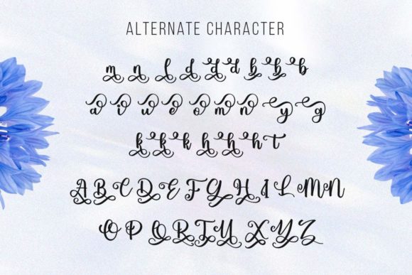 Blueberry Script Font - Preview 5