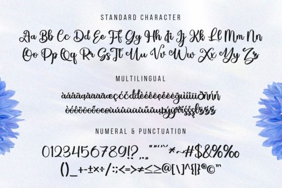 Blueberry Script Font - Preview 6