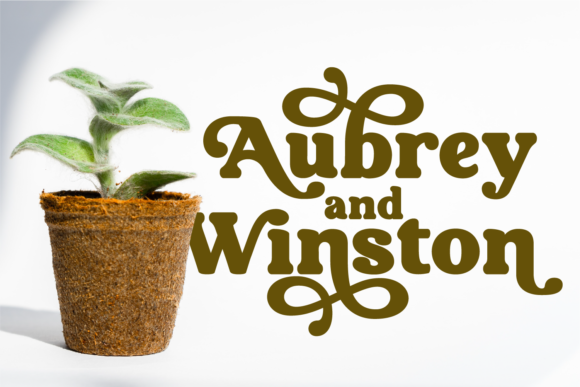 Aubergine Font - Preview 4
