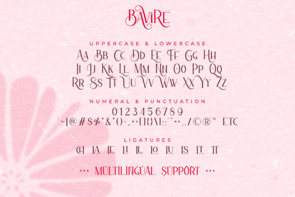 Bavire Font - Preview 6