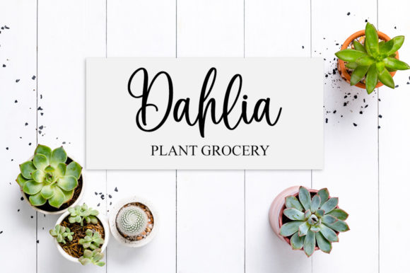 Blackbird Font - Preview 2