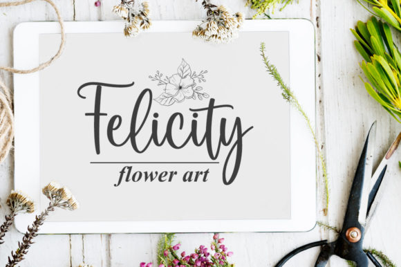 Blackbird Font - Preview 4