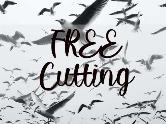 Boomerang Font - Preview 2