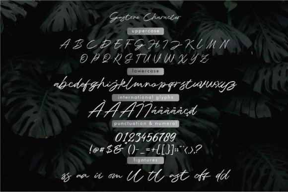 Gastone Font - Preview 6