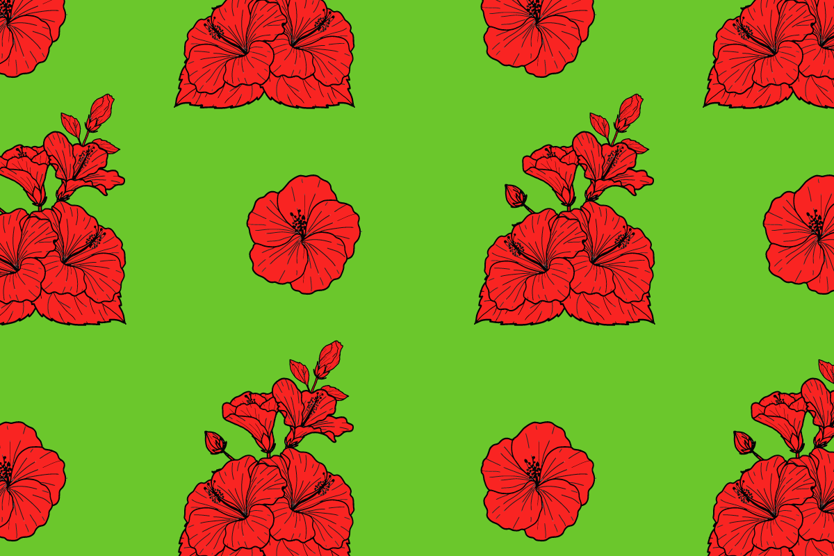 Hibiscus Flower Pattern SVG Graphic by nurdesign99 · Creative Fabrica
