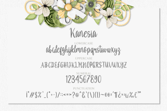 Kanesia Font PNG with transparent background - Preview 5