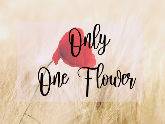 Mandarin Font PNG with transparent background - Preview 1