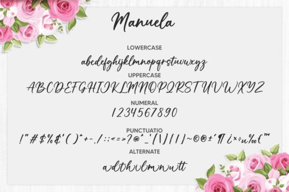 Manuela Font PNG with transparent background - Preview 5