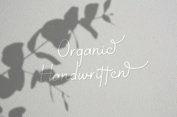 Priscillia Font PNG with transparent background - Preview 2
