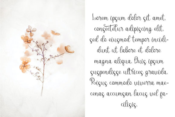 Aeroting Font - Preview 3