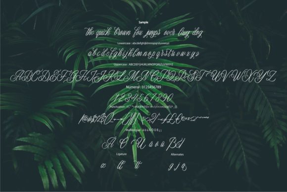 Batheria Font - Preview 5