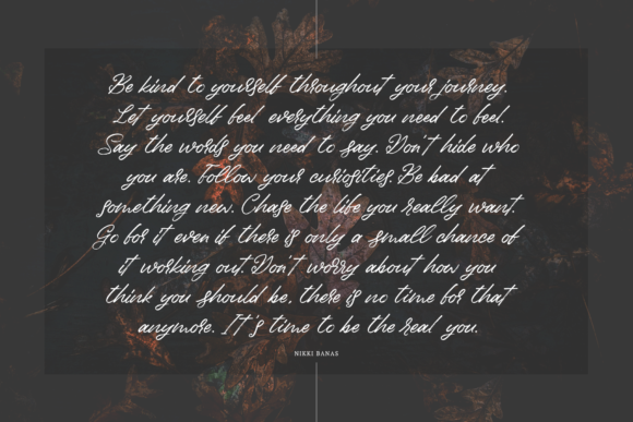 Birdinaire Font - Preview 1