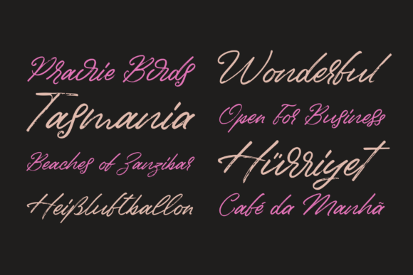 Birdinaire Font - Preview 3