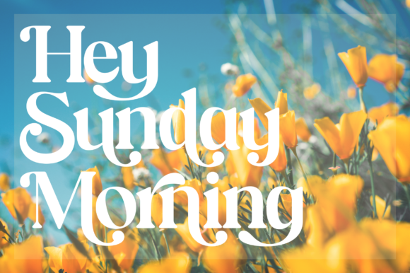 Brandey Font - Preview 2