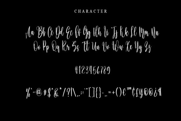 Calligraphy Font - Preview 4