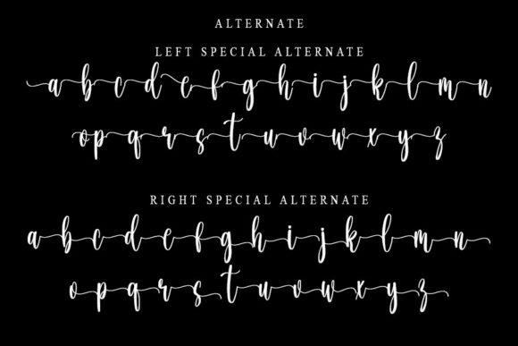 Calligraphy Font - Preview 5