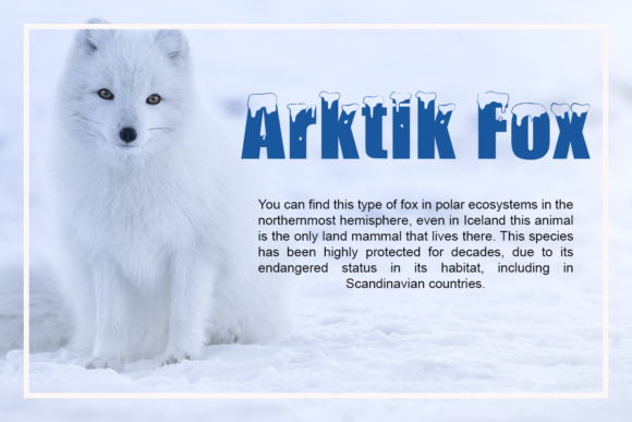 Polar Snow Font PNG with transparent background - Preview 1